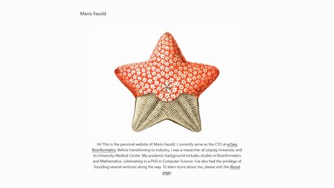 Mario Fasold homepage screenshot