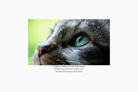 Tailwind CSS